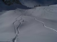 alta-tracks.JPG