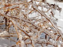 icicles.jpg