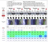 IMG_1393.jpeg