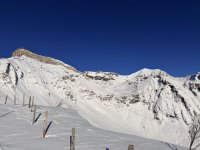 IMG_4953.jpg