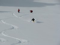 01 snowbird skidog toad hill 080406.jpg