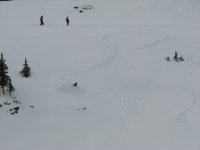 06 snowbird skidog knuckleheads 20080406.jpg