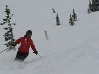 11 snowbird mira bookends 20080406.jpg