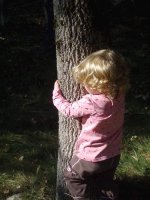 TreeHugger.jpg