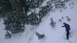 Alta, Snowbird, Snowbasin Jan 2009 054 (Small).jpg