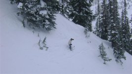 Alta, Snowbird, Snowbasin Jan 2009 051 (Small).jpg