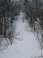 WE GOT FIRST TRACKS ALL DAY IN PARADISE.JPG