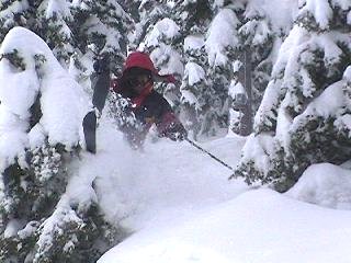 Getting tight in the trees of Dom at Alpental. (skier: Jay Silveira, photo: Scott Bly/J&E Productions)