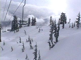 Powder below the Edelweiss chair. (Photo: Jay Silveira/J&E Productions)