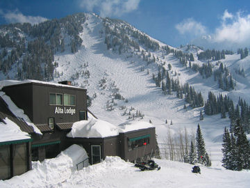 Alf's High Rustler forms a backdrop for Alta Lodge.