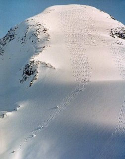 While CMH Kootenay does have some high alpine terrain such as this, most of the runs are in the trees. (photo: Brian Anglin)