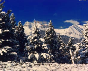 Winter scenic © Tammie Rawlings - NYI Student