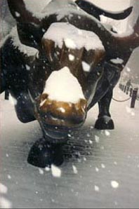 bronze bull in snow - ©Chuck DeLaney - NYI Dean