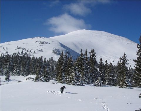 With partner Winter, the northeast face of Quandary Peak forming a backdrop.