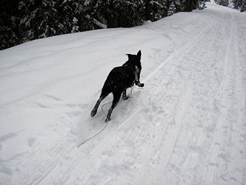 Winter, heading home after her ordeal.