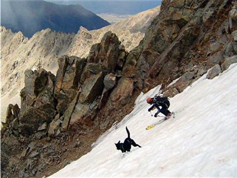 The author and his dog will enjoy many more happy turns together.