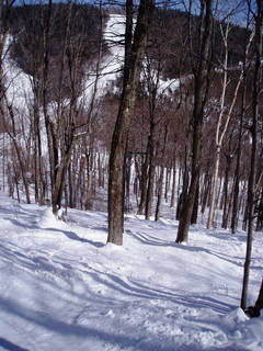 Chatiemac Glade (photo: FTO/Sharon Heller)