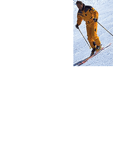 Overview of parallel, lifted Phantom Move