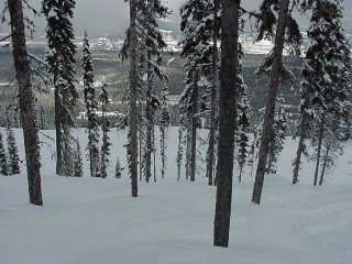 Tree skiing off of Grizzly (photo Marc Guido)