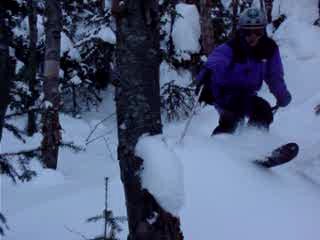 "Off-piste skiing is verboten to not adversely affect the forest, although ample evidence exists to suggest that this policy is only lightly enforced. (Skier: Rob Urwin; Photo: Marc Guido)