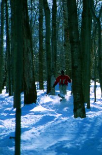 Loon's trails include some gladed terrain.