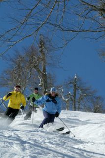 (photos: Okemo Mountain Resort)