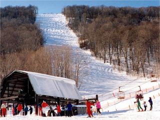 Bumps line Plattekill's signature Blockbuster trail from wall to wall. (photo courtesy Ski Plattekill)