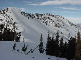 James Peak, some of Powder Mt.'s cat-ski terrain (photo Marc Guido)