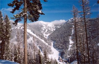 Snowbowl's terrain rises steeply above a compact base area. (photo courtesy Montana Snowbowl)