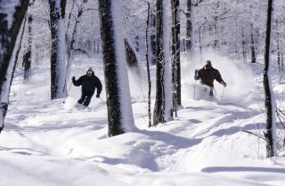 Mont Sutton's glades are more open than the eastern norm. (photo: Mont Sutton)