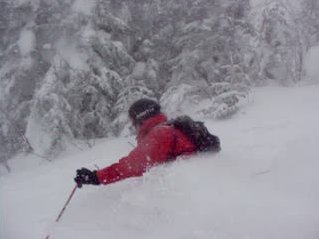 Powder day! (Skier: Marc Guido  Photo: Leigh Daboll)