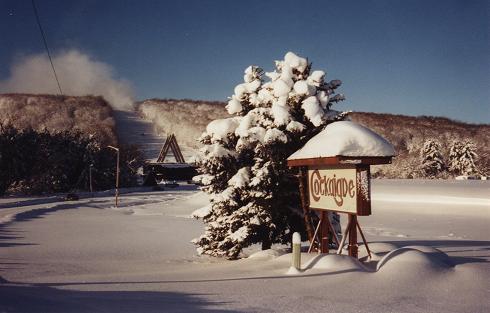 (file photo: Cockaigne Ski Area)