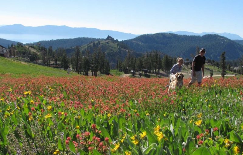 Snow Play Still Possible at Squaw Valley