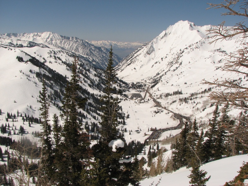 Alta Chamber and Visitors Bureau Launches Web Site