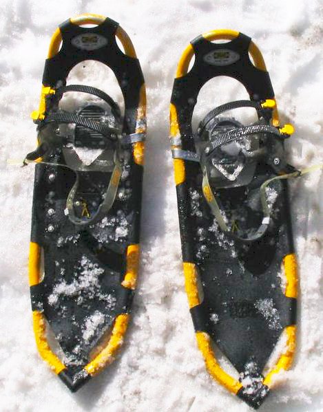 Bolton Valley’s Snowshoe Shuffle to Raise Money and Support the American Lung Association