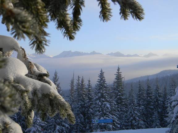 Skier from Missouri Dies at Vail