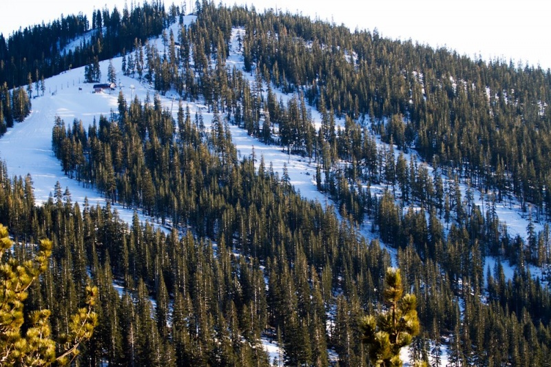 San Jose Woman Dies in Skiing Accident at Northstar