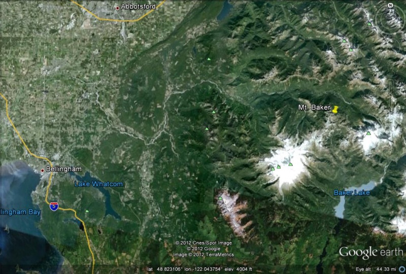 Trees Downed by Storm Close Mt. Baker
