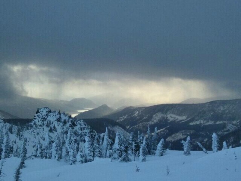 Skier Suffocates in Tree Well at White Pass