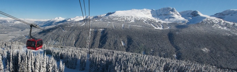 The treed ski runs of Seventh Heaven form the backdrop of this panorama of Whistler Blackcomb's Peak 2 Peak Gondola. (photo; Whistler Blackcomb/Ryan Reggie Robinson/coastphoto.com)