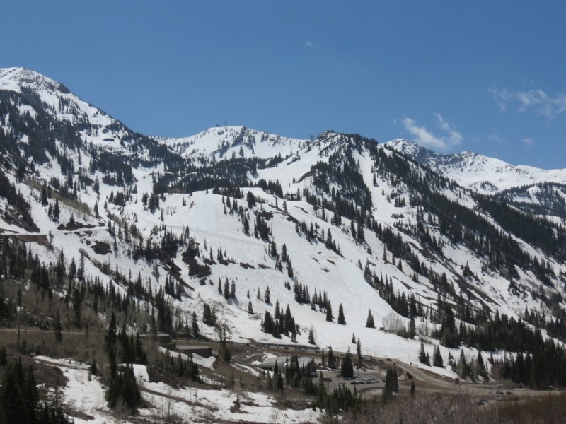 Snowbird Receives Approval to Install Mountain Coaster