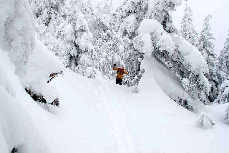 The Bolton Valley Backcountry (file photo: Vermont Land Trust / Broudy/Donohue Photography)