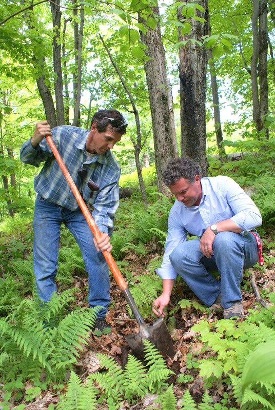 Over 1,500 New Trees Planted at Mont Sutton