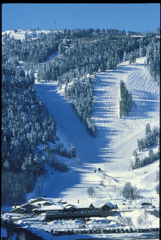 Skier Hits Tree, Dies at Deer Valley First Tracks