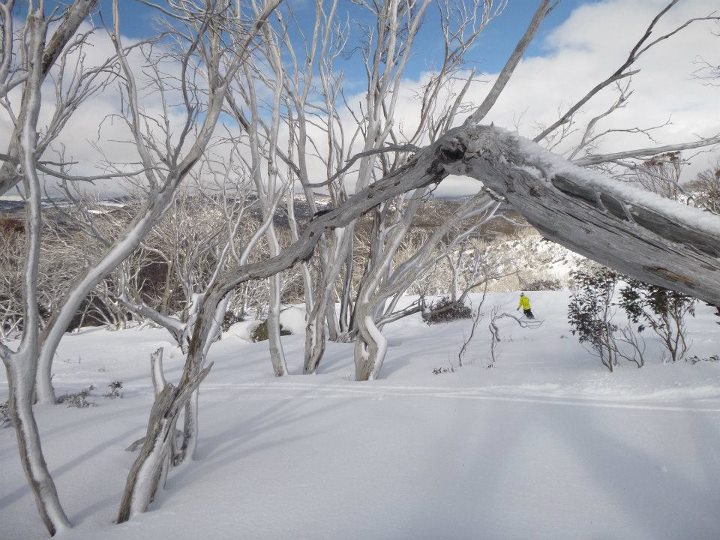 Second Australian Snowboarder Death This Week