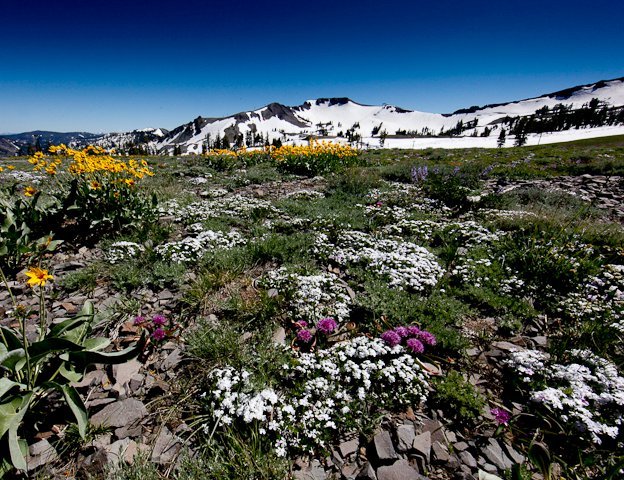 Wild West Weekend Returns to Squaw Valley