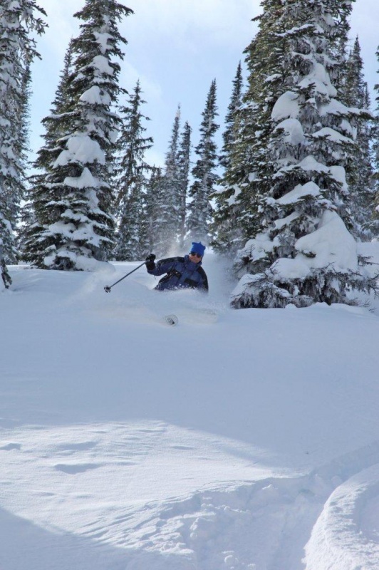 The author enjoys steep trees and fresh powder at White Grizzly (photo: Karl Weatherly)