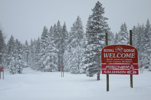 Conservation Groups Purchase North America’s Largest Cross-Country Ski Resort