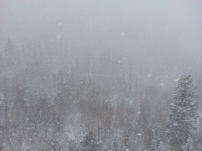 Snowbird Drops Lodging Prices to Complement 18-Inch Snowstorm