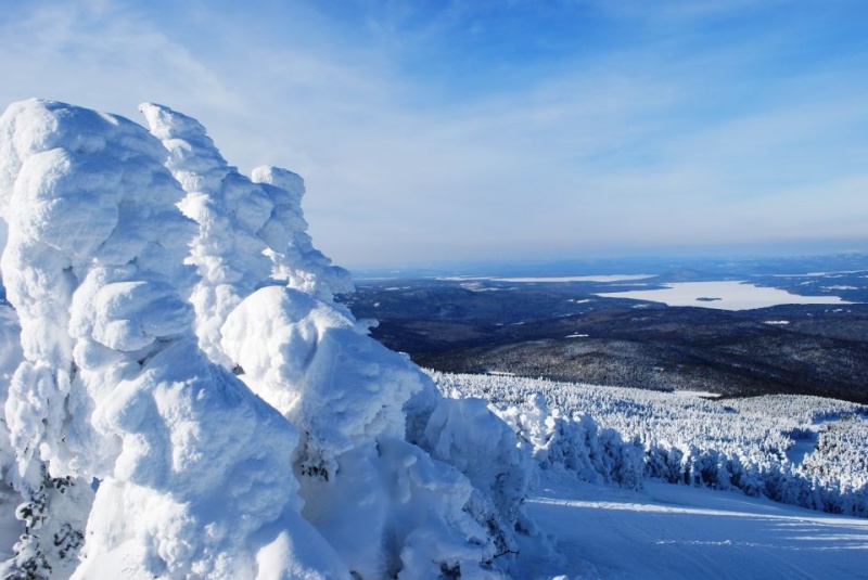 Hospitality Workers Ski for Free on Monday at Saddleback